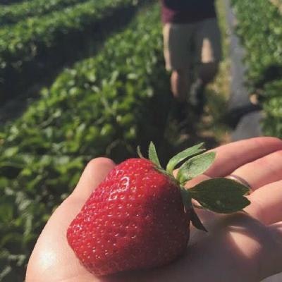 Nhat Nguyen - Software Engineer